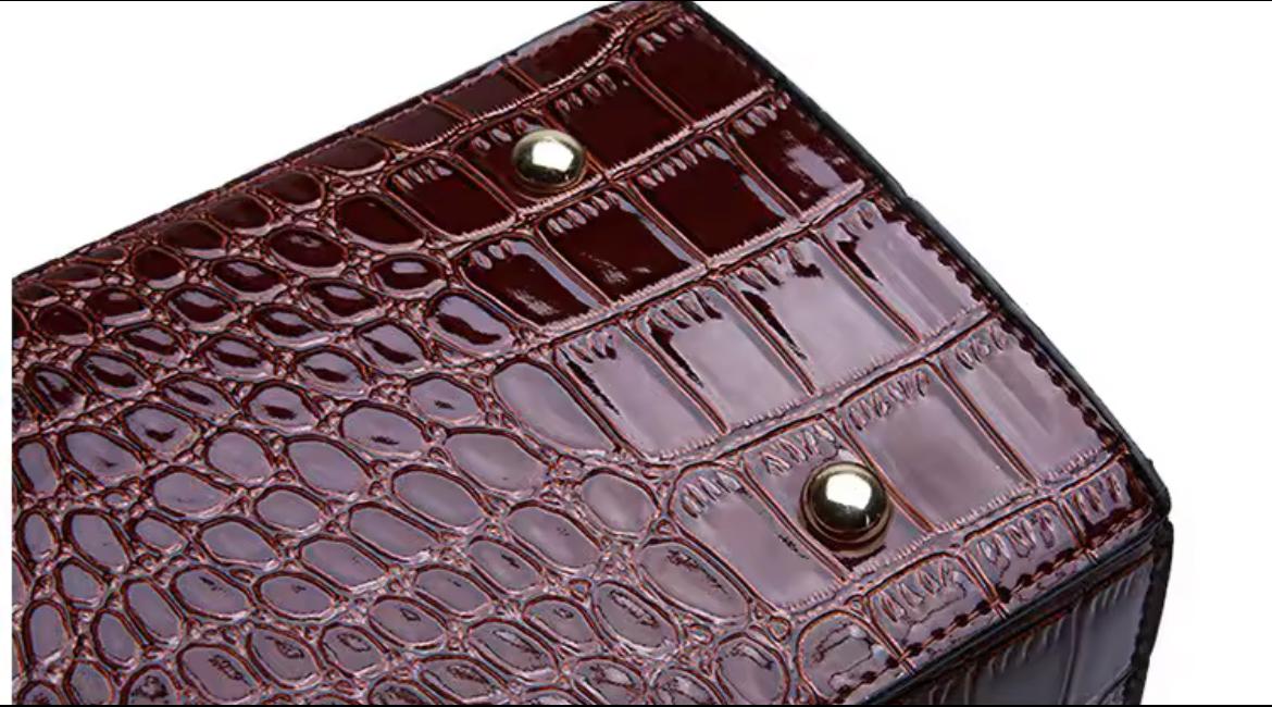 Venna Luxe Croco Bag