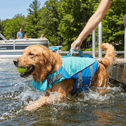Dierbenodigdheden Reflecterende strepen Hondenreddingsvest Verstelbaar veiligheidsvest met groot drijfvermogen Ademend reddingsvest voor huisdieren Watersport