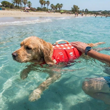 PawFloat™ Pet Safety Vest 🌊🐾 – Head Support & Rescue Ready