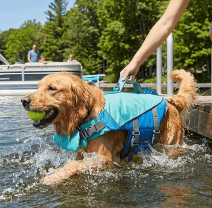 PawFloat Pet Safety Vest 🌊🐾 – Head Support & Rescue Ready